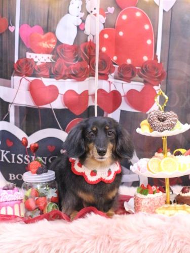 20250219モカちゃん